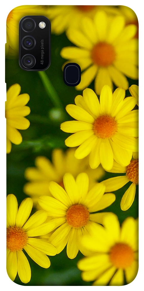 Чохол Yellow chamomiles для Galaxy M30s