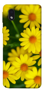 Чехол Yellow chamomiles для Samsung Galaxy M01 Core