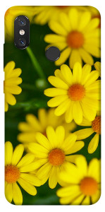 Чохол Yellow chamomiles для Xiaomi Mi 8