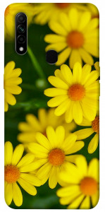 Чехол Yellow chamomiles для Oppo A31