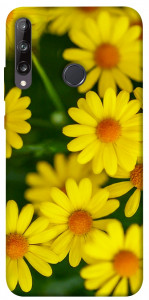 Чехол Yellow chamomiles для Huawei P40 Lite E