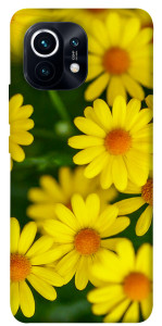 Чехол Yellow chamomiles для Xiaomi Mi 11