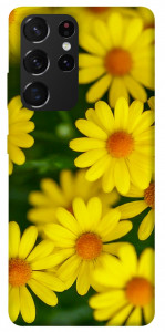 Чехол Yellow chamomiles для Galaxy S21 Ultra