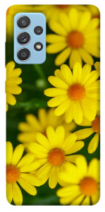 Чохол Yellow chamomiles для Samsung Galaxy A52 5G