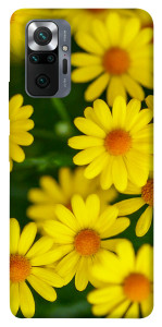 Чохол Yellow chamomiles для Xiaomi Redmi Note 10 Pro