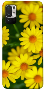 Чехол Yellow chamomiles для Xiaomi Redmi Note 10 5G