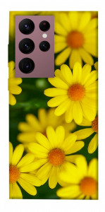 Чехол Yellow chamomiles для Galaxy S22 Ultra