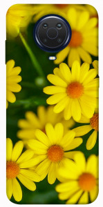 Чехол Yellow chamomiles для Nokia G10