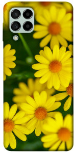 Чехол Yellow chamomiles для Galaxy M53