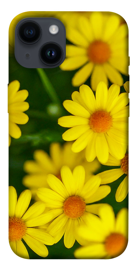 Чохол Yellow chamomiles для iPhone 14