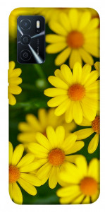 Чехол Yellow chamomiles для Oppo A16 4G