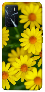 Чохол Yellow chamomiles для Oppo A54s