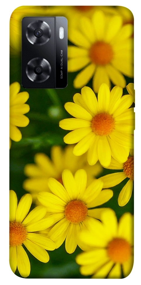 Чохол Yellow chamomiles для Oppo A57s