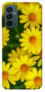 Чехол Yellow chamomiles для Galaxy M23 5G