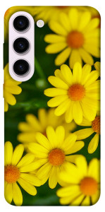 Чехол Yellow chamomiles для Galaxy S23+