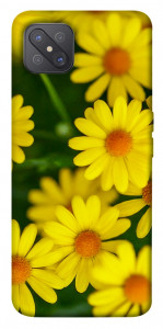 Чехол Yellow chamomiles для Oppo A92s