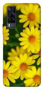 Чехол Yellow chamomiles для Vivo Y31