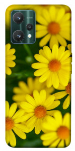 Чохол Yellow chamomiles для Realme 9 Pro