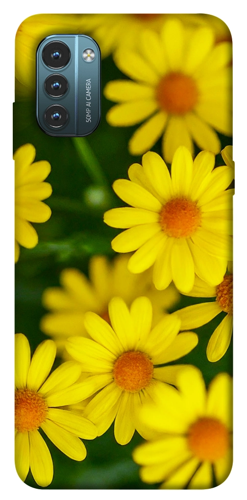 Чохол Yellow chamomiles для Nokia G21