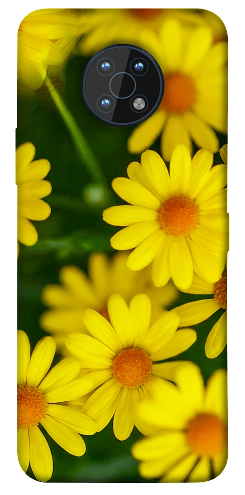 Чехол Yellow chamomiles для Nokia G50