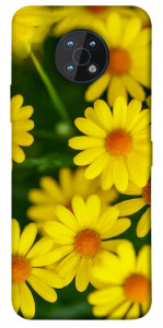 Чохол Yellow chamomiles для Nokia G50