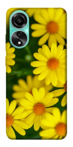 Чохол Yellow chamomiles для Oppo A78 4G