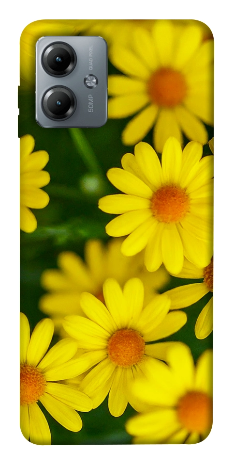 Чехол Yellow chamomiles для Motorola Moto G14