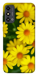 Чохол Yellow chamomiles для ZTE Blade A53