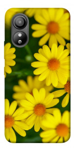 Чехол Yellow chamomiles для ZTE Blade L220