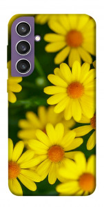 Чохол Yellow chamomiles для Galaxy S23 FE