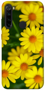 Чехол Yellow chamomiles для Xiaomi Redmi Note 8 2021