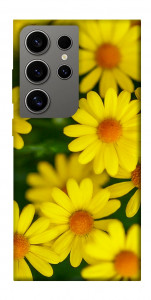 Чехол Yellow chamomiles для Galaxy S24 Ultra