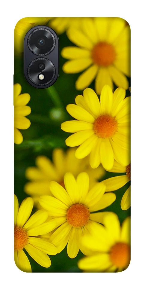 Чехол Yellow chamomiles для Oppo A38