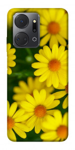 Чехол Yellow chamomiles для Huawei Honor X7a