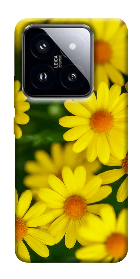 Чохол Yellow chamomiles для Xiaomi 14 Pro