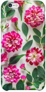 Чехол Floral Elegance для iPhone 6 plus (5.5'')
