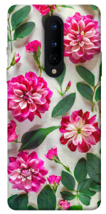 Чехол Floral Elegance для OnePlus 8
