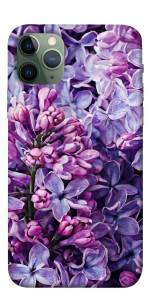 Чохол Violet blossoms для iPhone 11 Pro