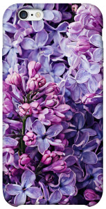 Чехол Violet blossoms для iPhone 6 (4.7'')