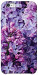 Чохол Violet blossoms для iPhone 6