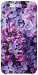 Чехол Violet blossoms для iPhone 6