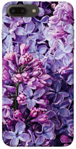 Чехол Violet blossoms для iPhone 8 plus (5.5")