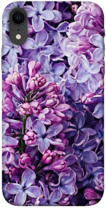 Чохол Violet blossoms для iPhone XR