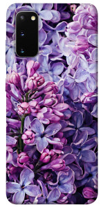 Чехол Violet blossoms для Galaxy S20 (2020)