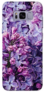 Чехол Violet blossoms для Galaxy S8+