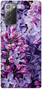 Чохол Violet blossoms для Galaxy Note 20