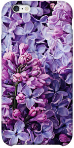 Чохол Violet blossoms для iPhone 6s plus (5.5'')