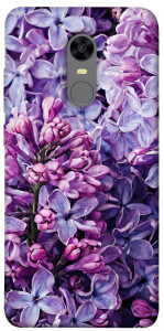 Чехол Violet blossoms для Xiaomi Redmi 5 Plus