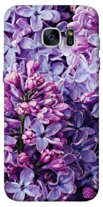 Чохол Violet blossoms для Galaxy S7 Edge