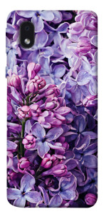 Чехол Violet blossoms для Samsung Galaxy M01 Core